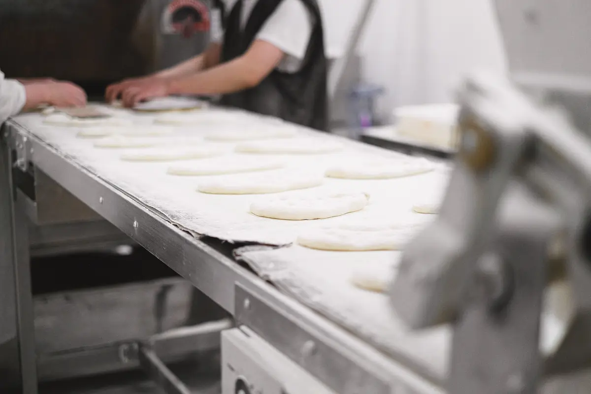Dough pieces moving along a conveyor in a commercial bakery
