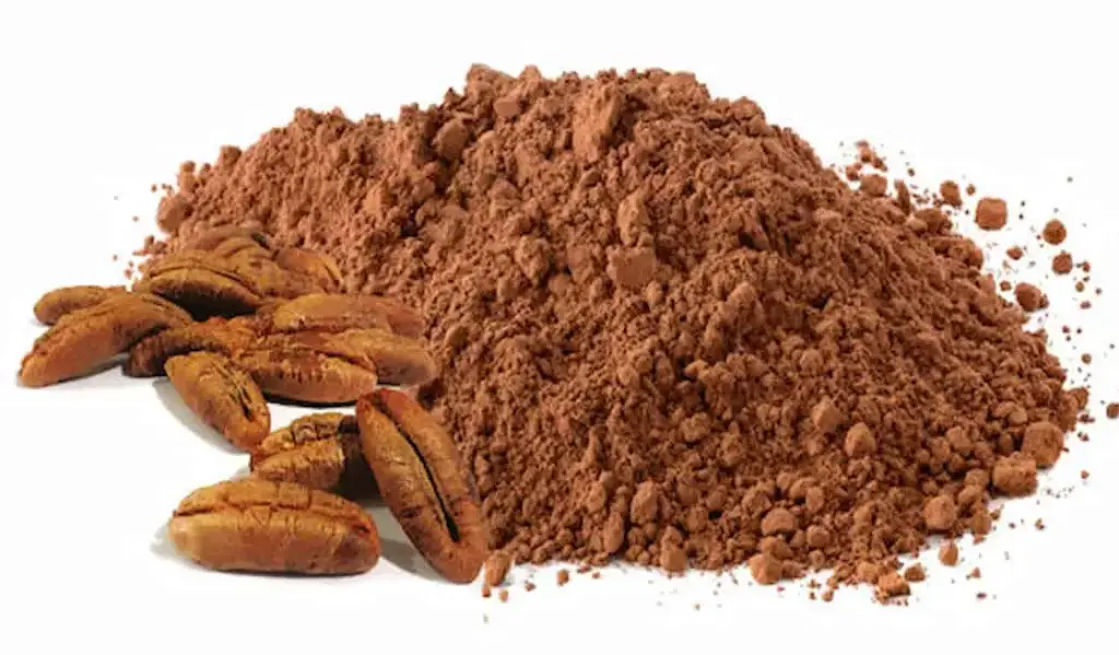 Bulk date seed powder for wholesale supply