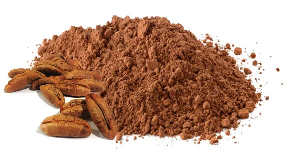 date seed powder wholesale