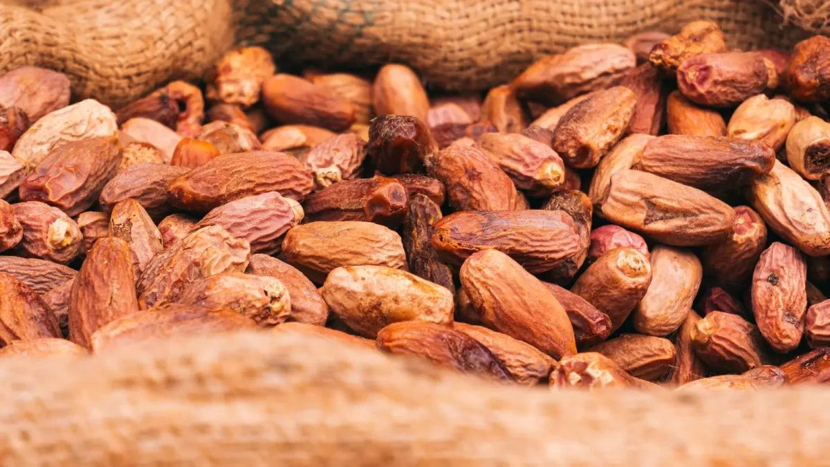 Loose dried dates in a hessian sack