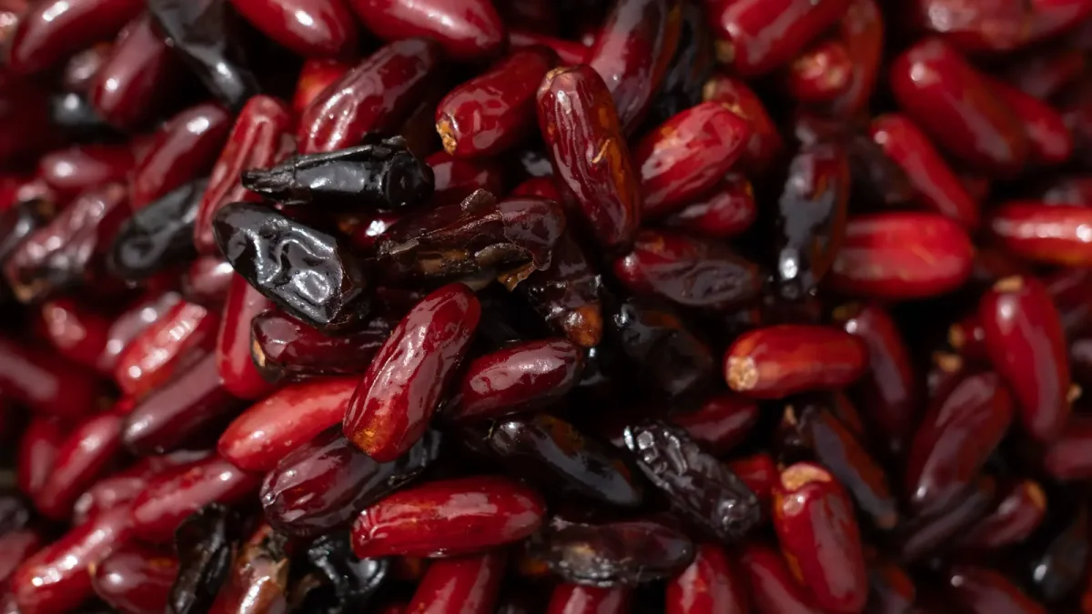 A pile of cleaned date seeds