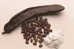 Bulk locust bean gum for wholesale supply.