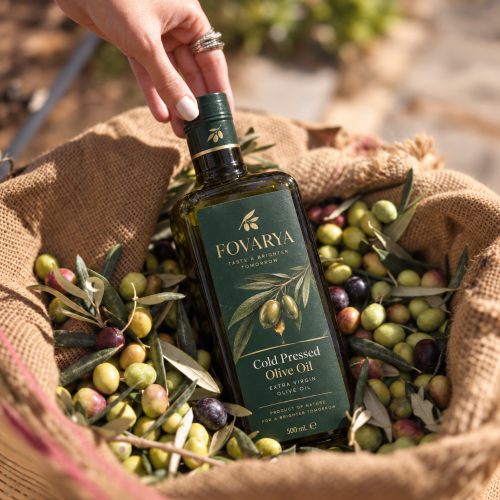 Cold pressed olive oil wholesale for global supply