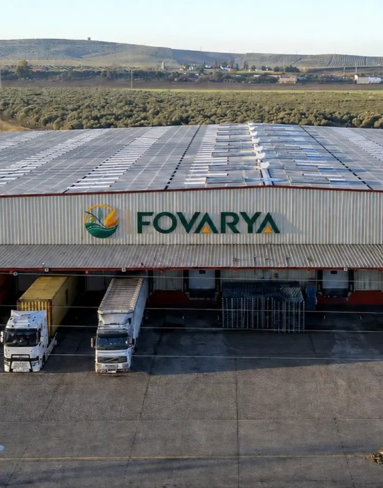 fovarya warehouse